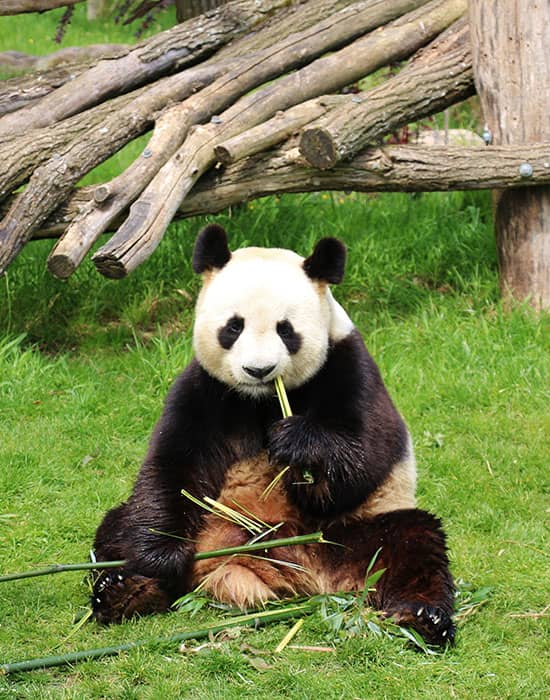 Domaine du Prieuré à 40 Km du Zoo de Beauval | France